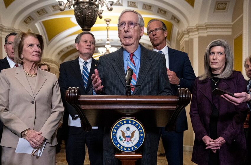  Term limits, preventing leader ‘monarchy’ become top concerns in post-McConnell GOP