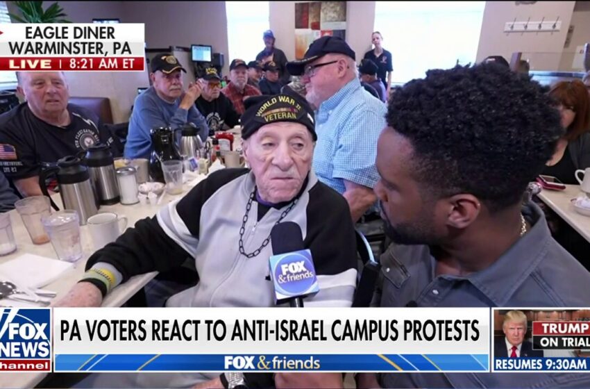  Veterans disgusted by anti-Israel protests, flag-burning